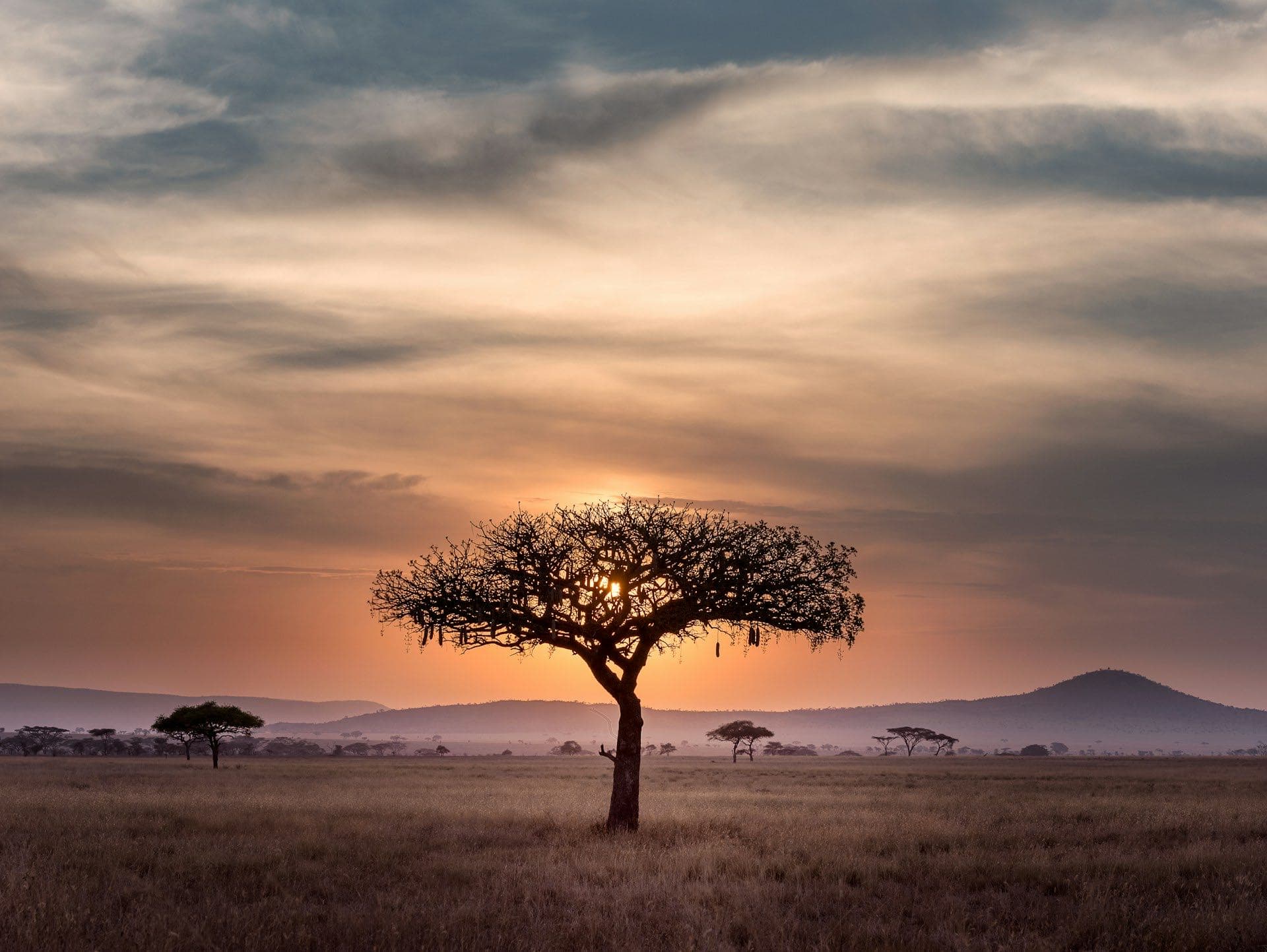 Africa — journeys from India