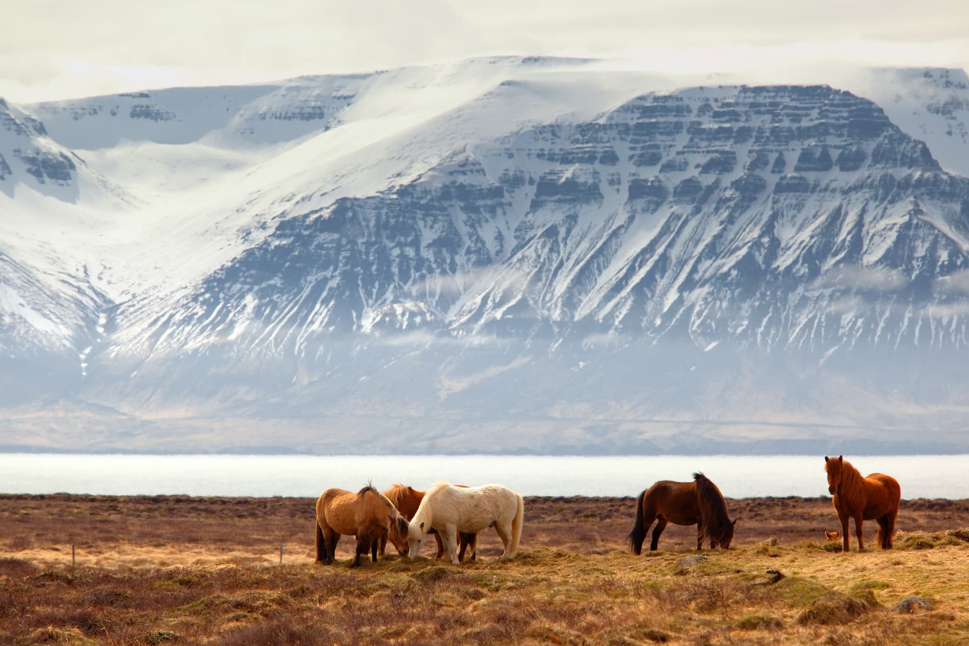 Amazing Iceland