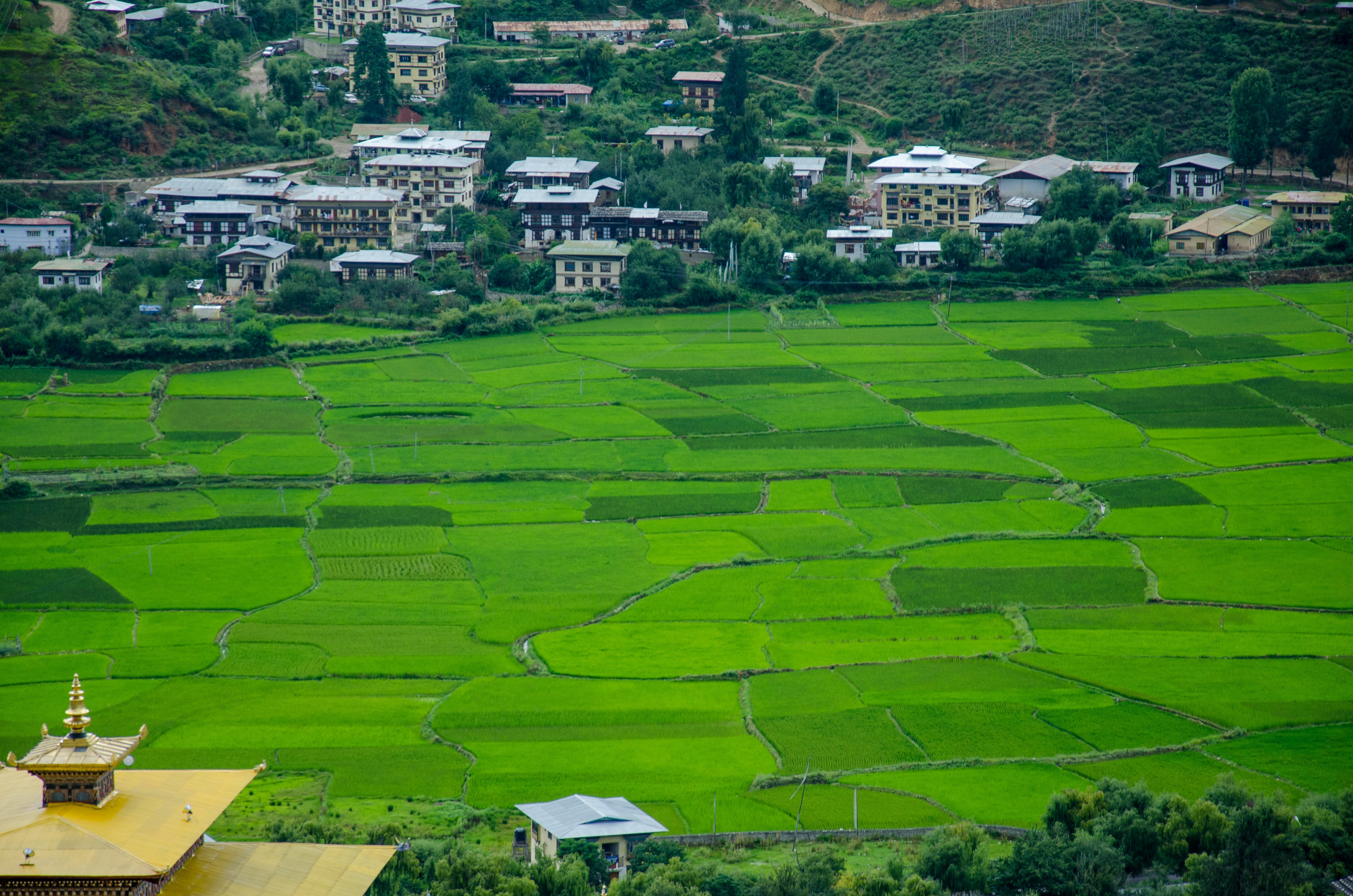 Bhutan Dragon Land