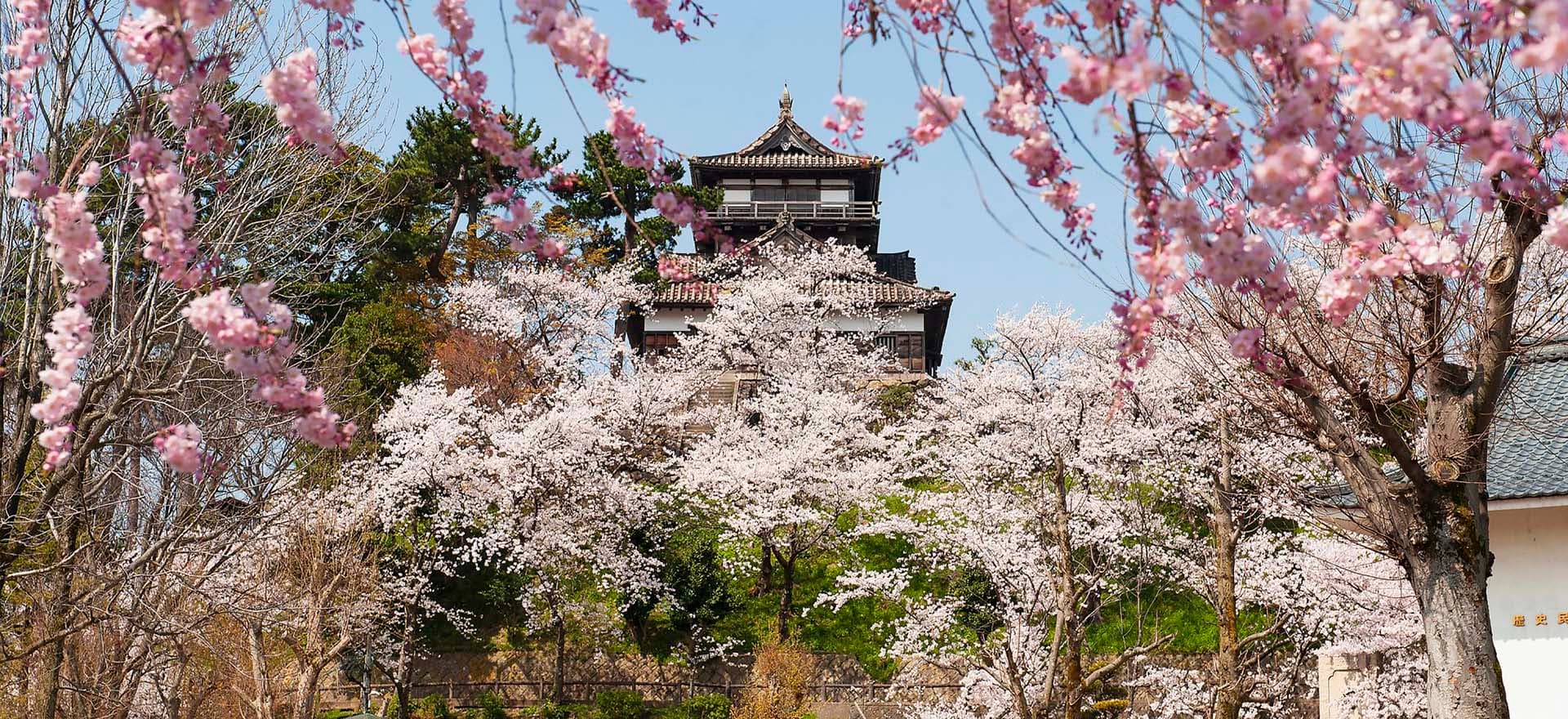 Japan