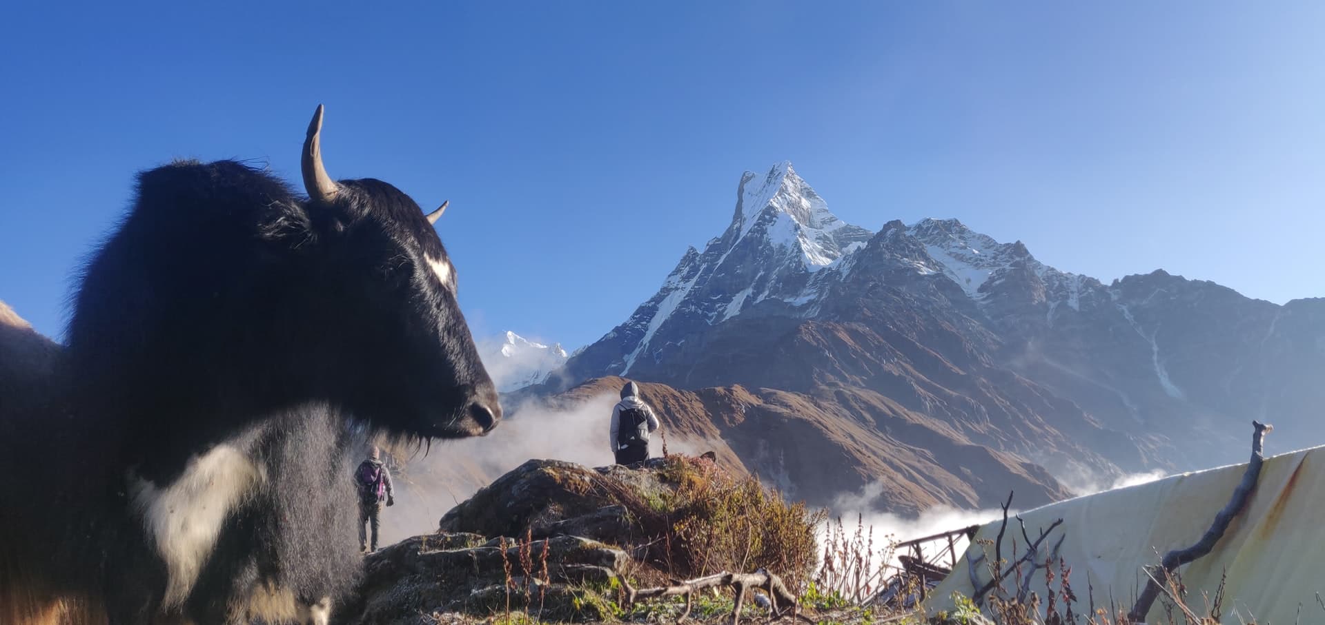 Nepal Himalyan Kingdom