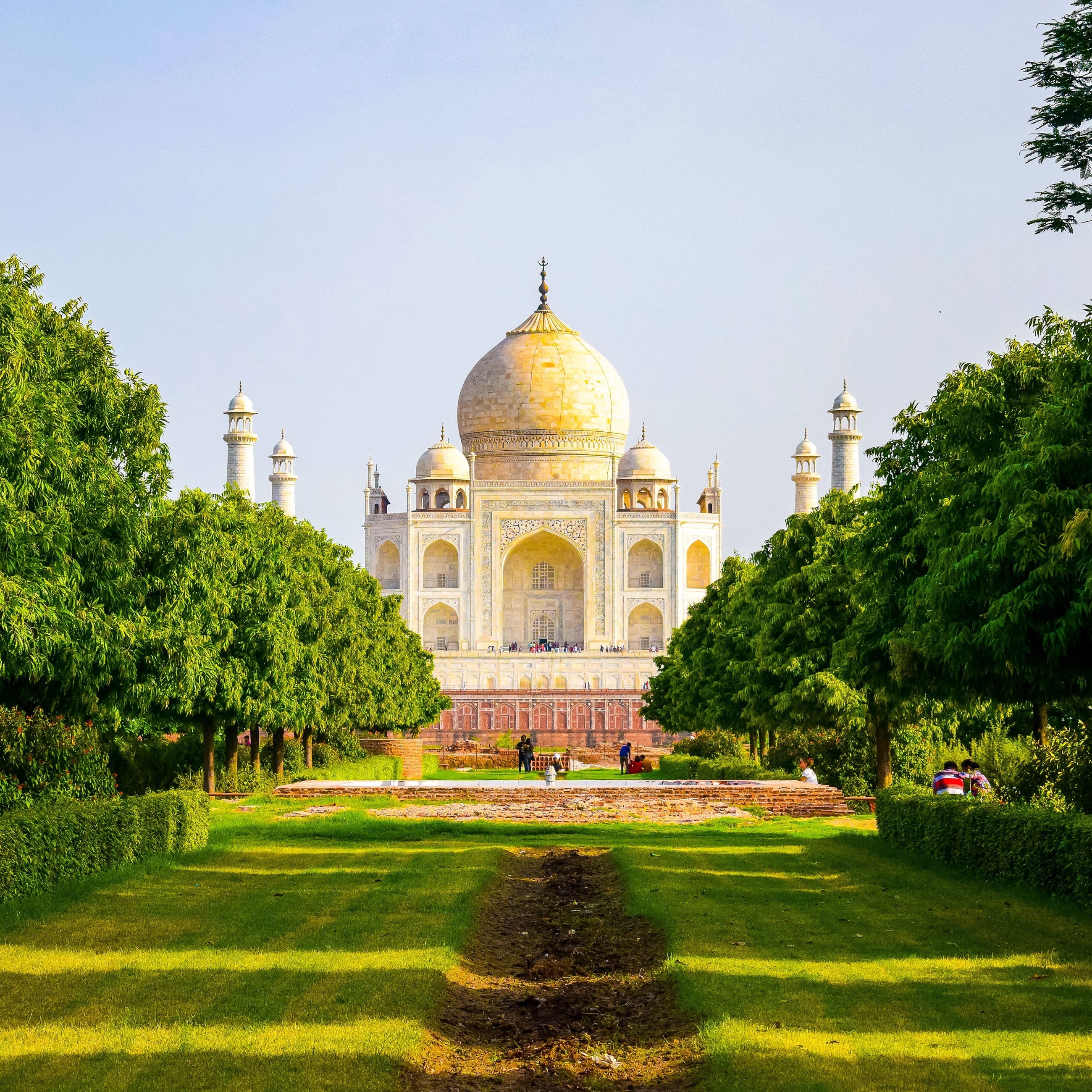 The Taj Mahal framed by garden greenery, Agra
