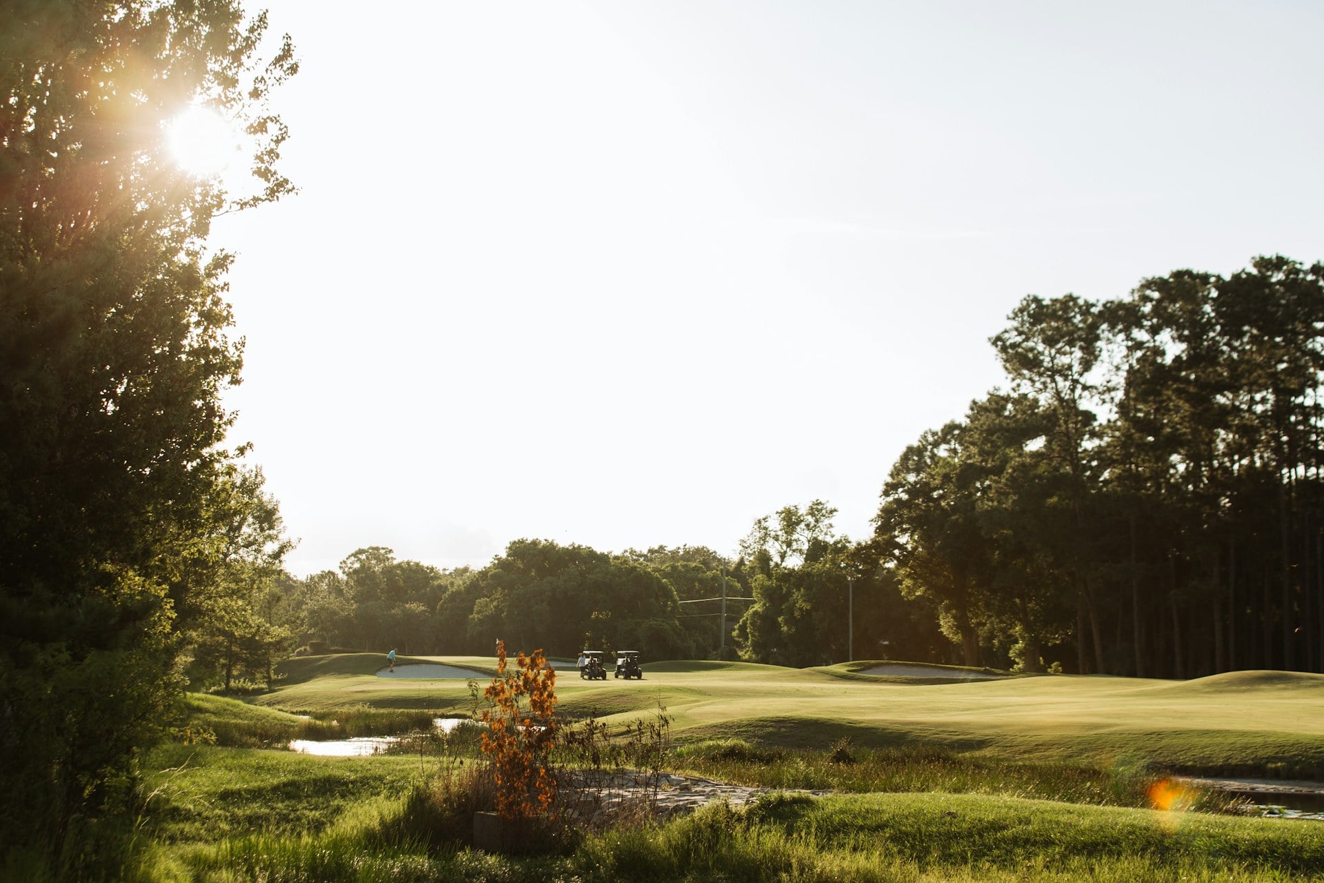 Golf course putting green at golden hour, editorial wide