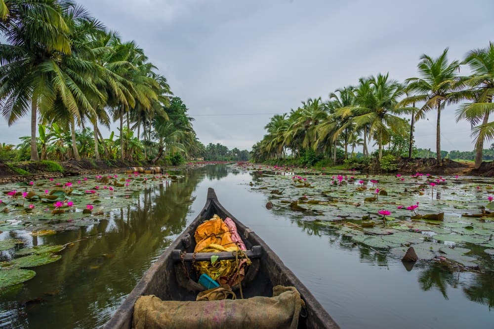 Exploring Kerala & Srilanka - Vegan