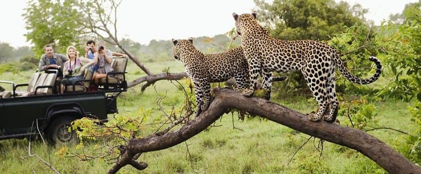 7D/6N GOLF / SAFARI EXPERIENCE FOR 7D/6N IN KENYA