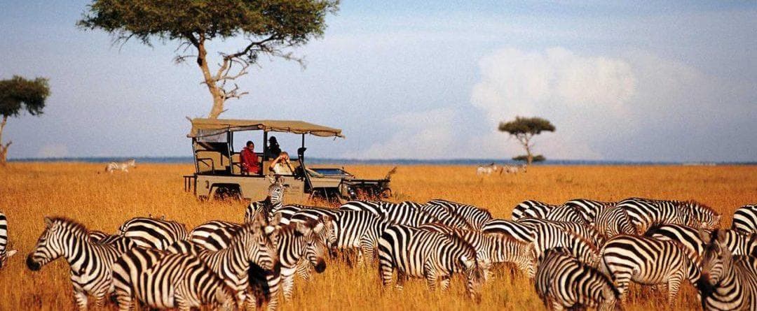 Safari Experience in Kenya