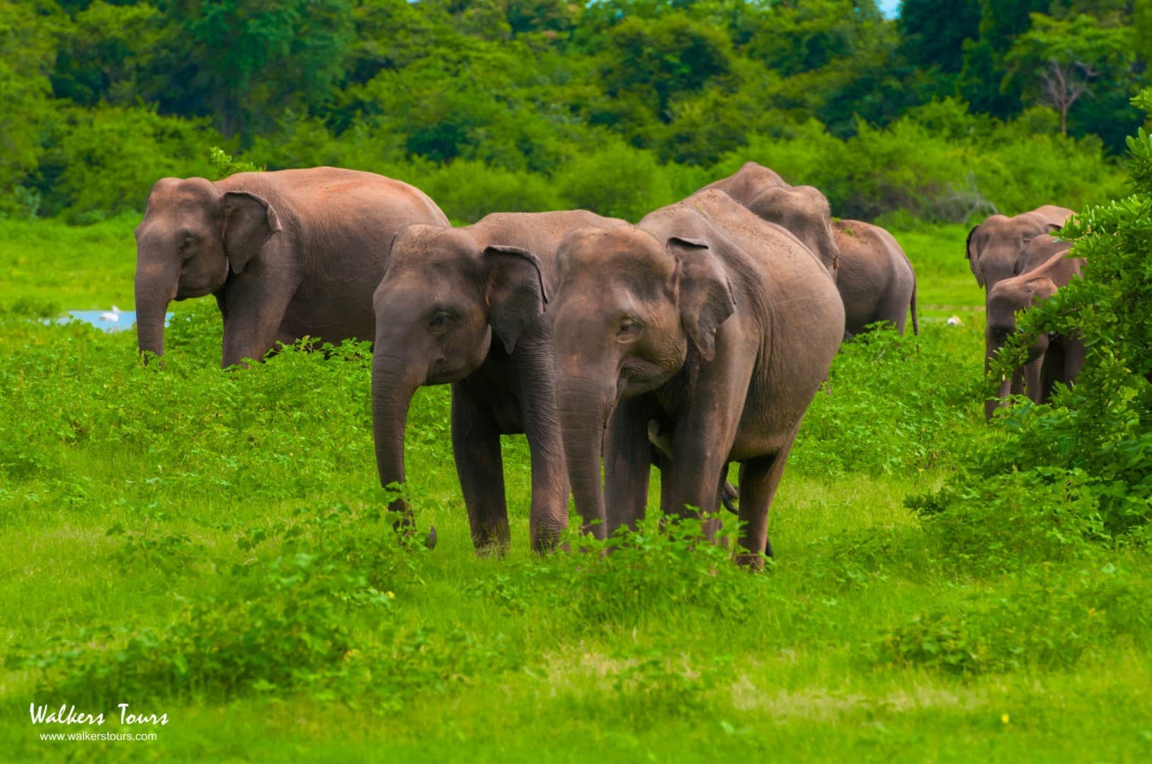 Sri Lanka Island Sailing